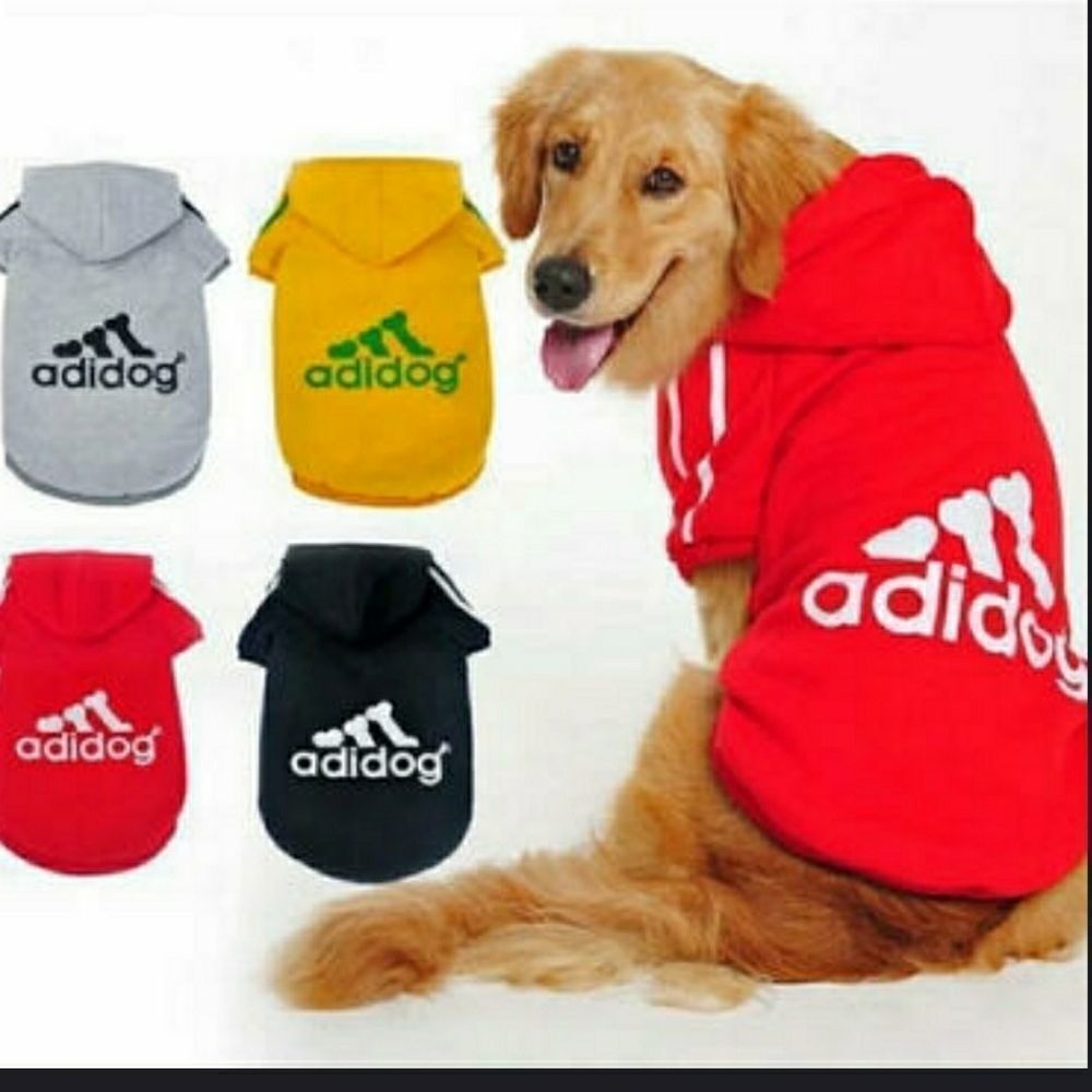 Pet
hoodie sweater